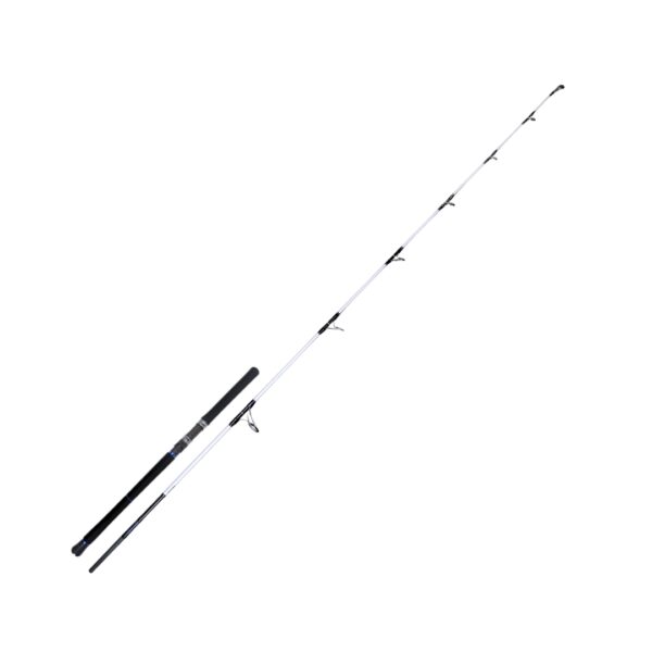 Asmefa Daiwa Saltiga Offshore Rod .01